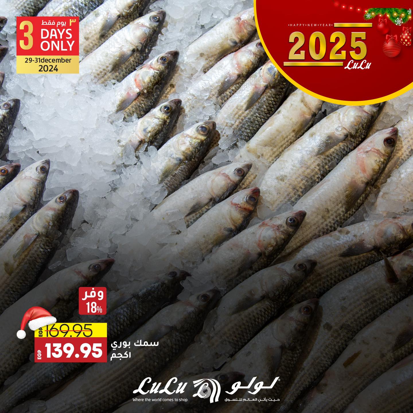 lulu-hypermarket offers from 29dec to 31dec 2024 عروض لولو هايبر ماركت من 29 ديسمبر حتى 31 ديسمبر 2024 صفحة رقم 6